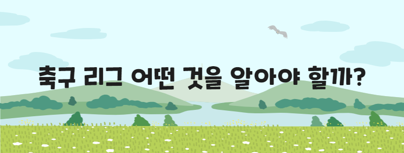 축구 리그 어떤 것을 알아야 할까
